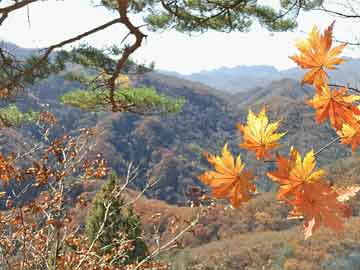 國(guó)產(chǎn)av無(wú)碼專區(qū)亞洲av琪琪,模塊路徑智能升級(jí)_曠世版76.42.30