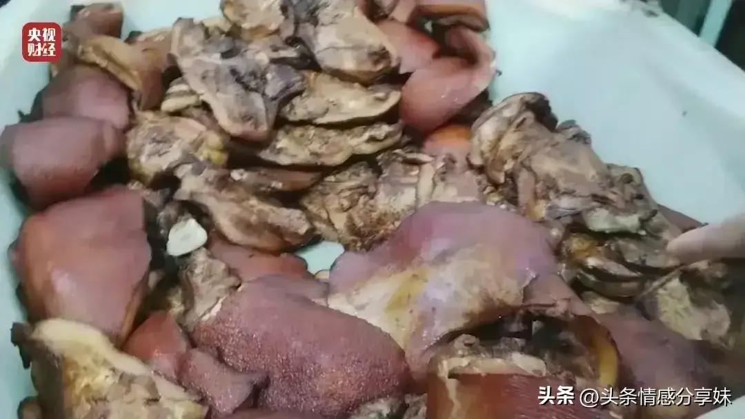 家庭防火必備知識，如何選擇適合的滅火器類型