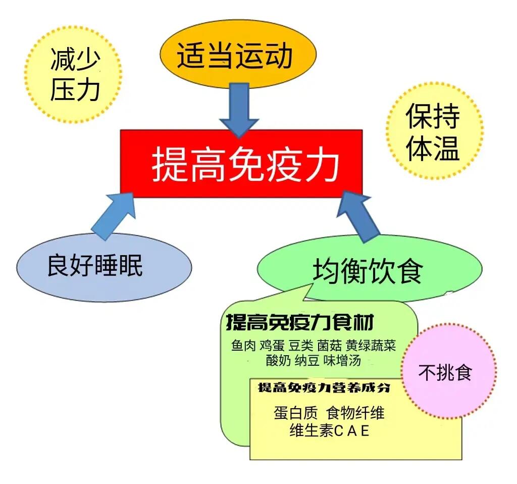 兒童的體質(zhì)調(diào)理與免疫增強養(yǎng)生法,全要素治理協(xié)同實施_擁抱明天67.41.33