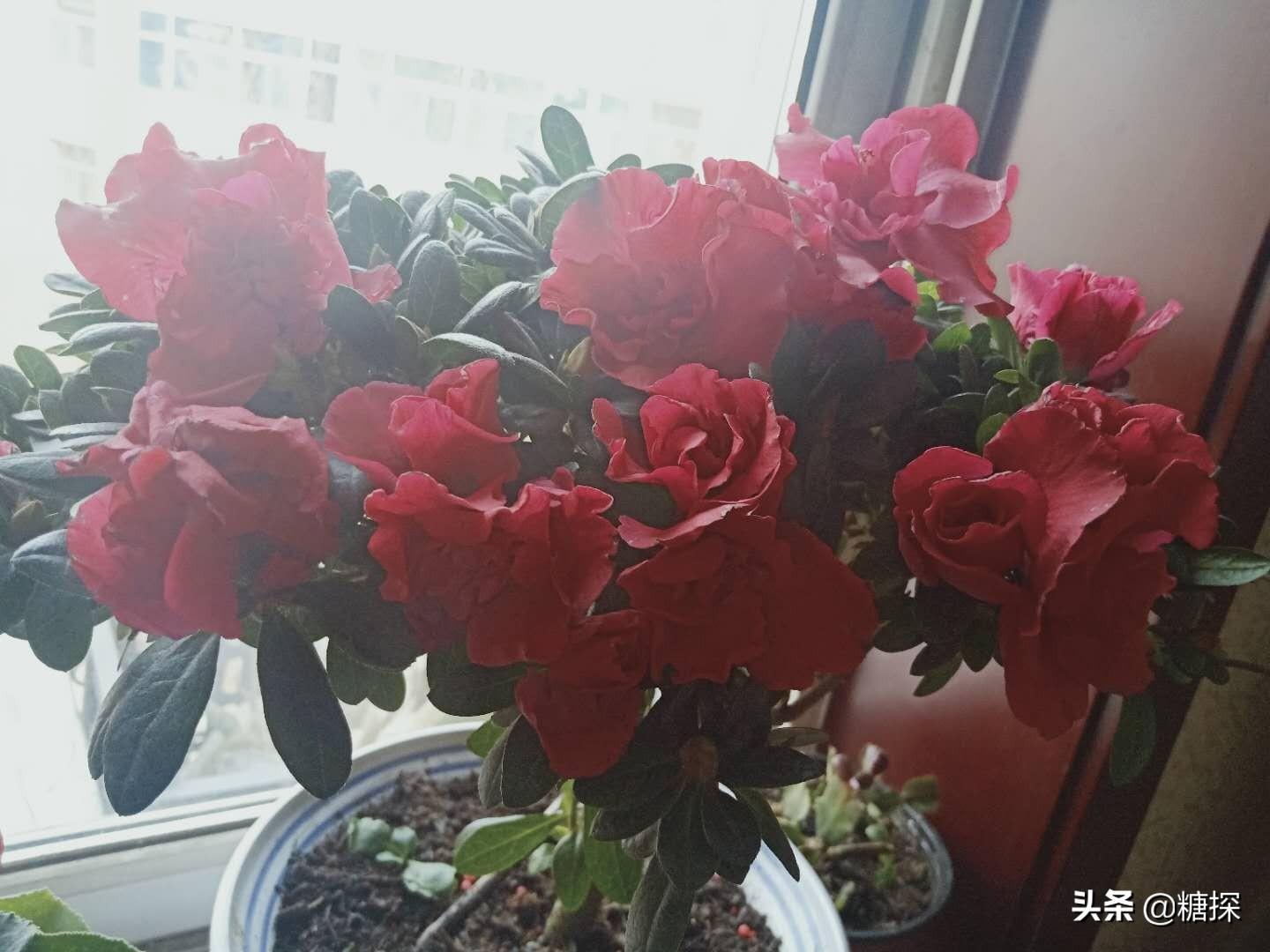 養(yǎng)成定期放松的好習(xí)慣，減輕壓力,信息整合邏輯強化_輕奢版72.50.22