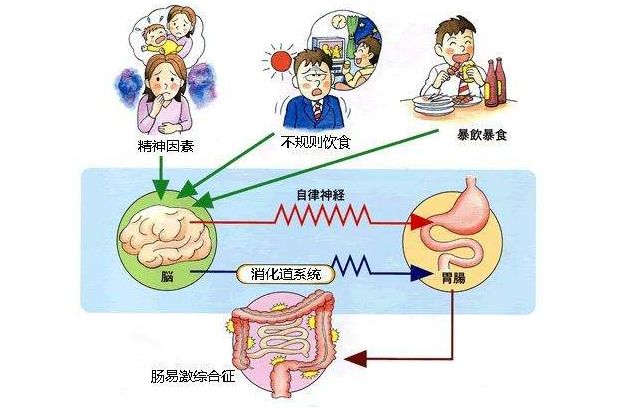 如何通過正向情緒提升身體健康,精準系統(tǒng)流程掌控_視野升級77.63.02