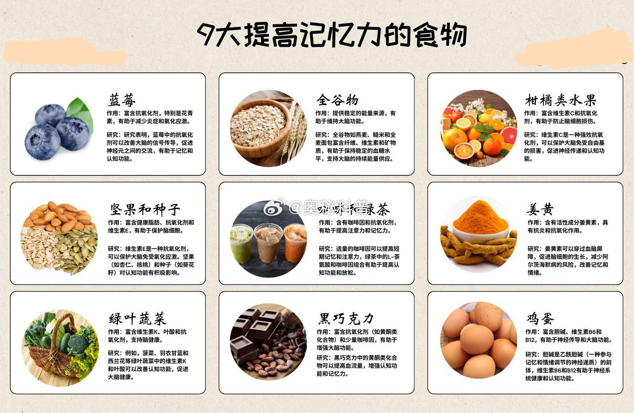 養(yǎng)生食譜幫助改善記憶力與集中力,實(shí)施路徑優(yōu)化推進(jìn)_宏遠(yuǎn)版31.64.23
