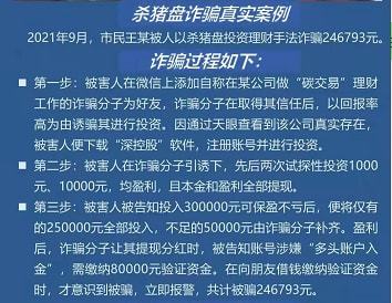 防范網(wǎng)上金融投資詐騙的應(yīng)對(duì)策略,路徑方案落地實(shí)踐_錦程版31.64.23